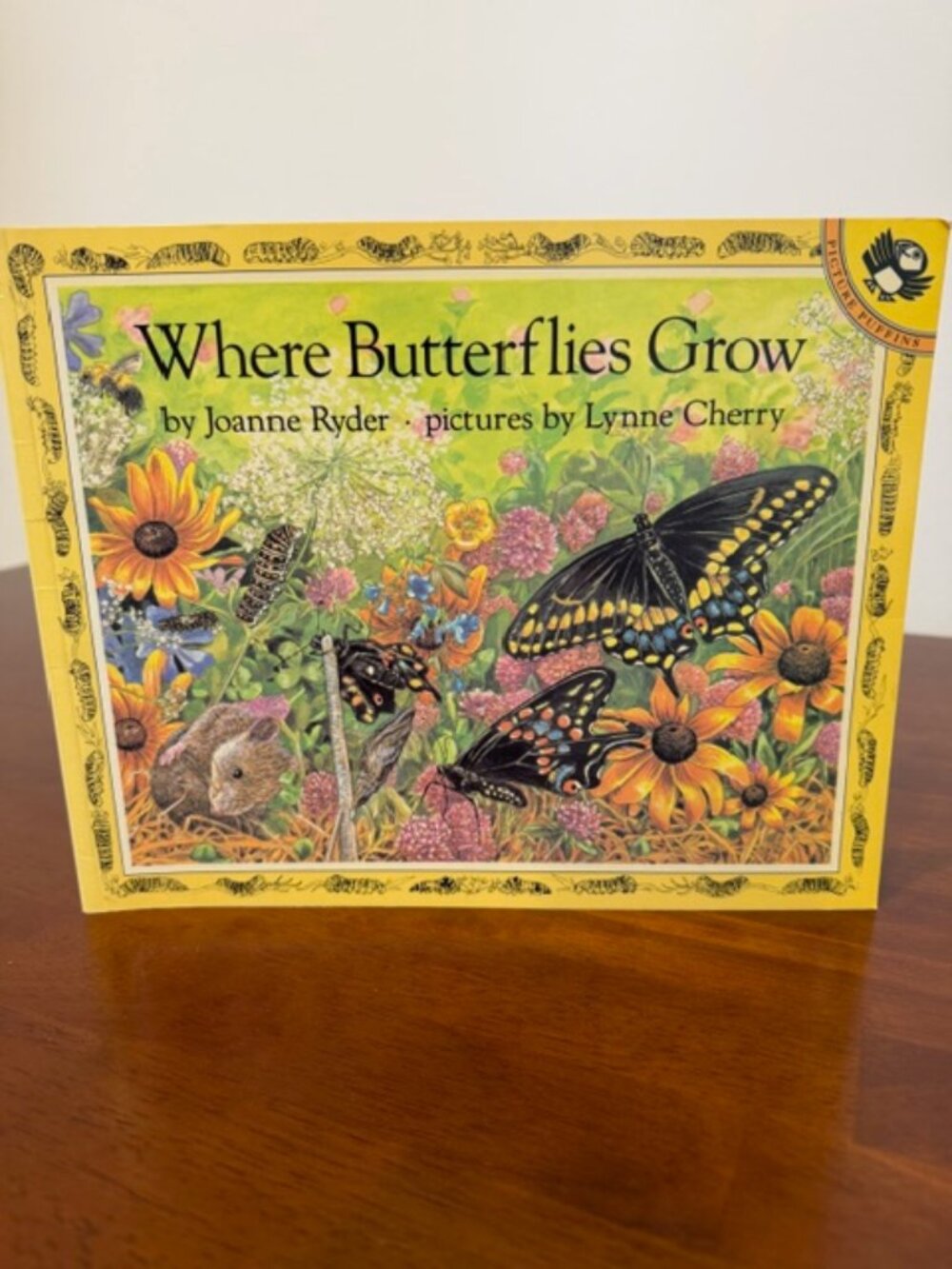 Where Butterflies Grow Vintage Book